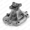 DELPHI WP2023 Water Pump